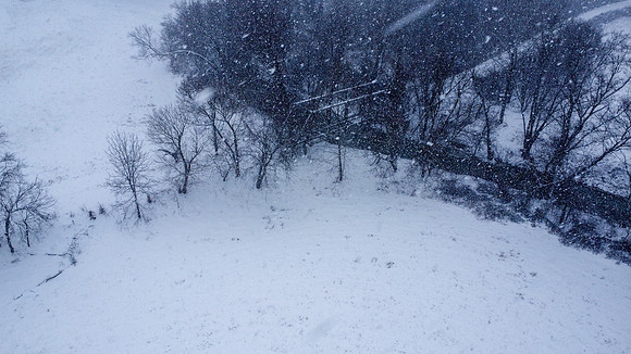 Snow-33