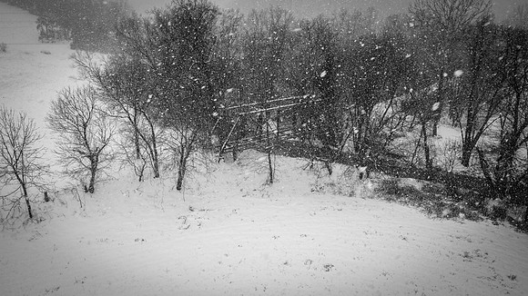 Snow-35