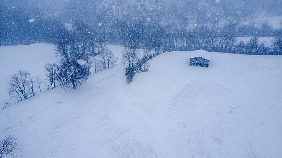 Snow-25