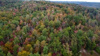 Morgan Property-11
