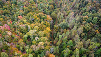 Morgan Property-16