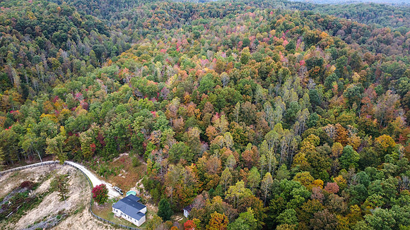 Morgan Property-10