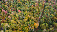 Morgan Property-18