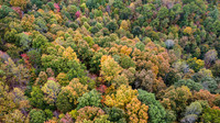 Morgan Property-14