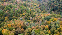 Morgan Property-15