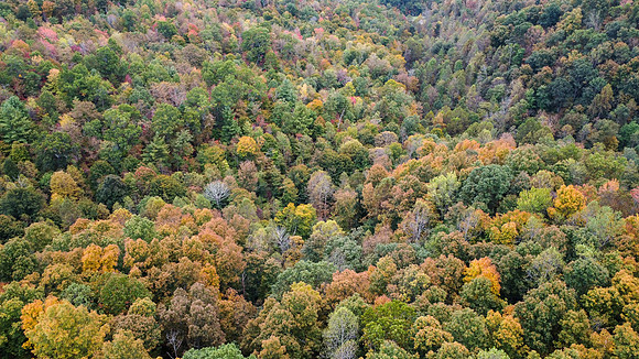Morgan Property-15