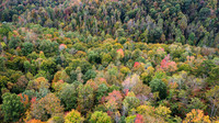 Morgan Property-12