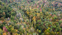 Morgan Property-19