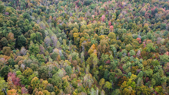 Morgan Property-19