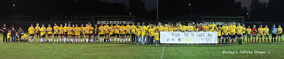 Kick for the Cure Panorma