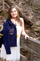 Kennedy FFA Bridge