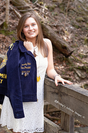 Kennedy FFA Bridge