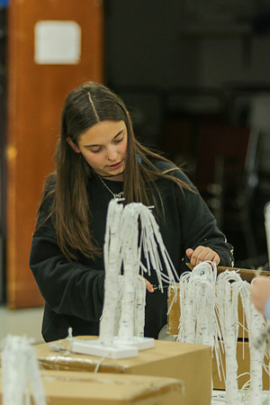 Cameron -19