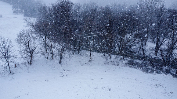 Snow-34