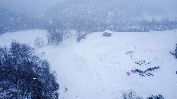 Snow-22