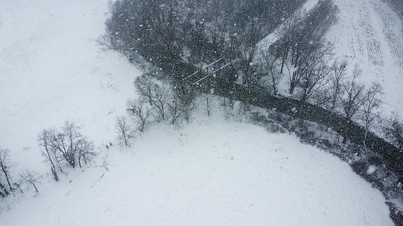 Snow-31