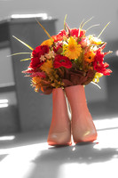 Cameron Wedding-02