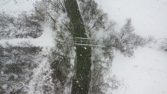 Snow-28